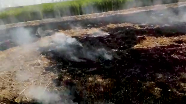 Pollution due to stubble burning, Odd-Even won't help: JNU study