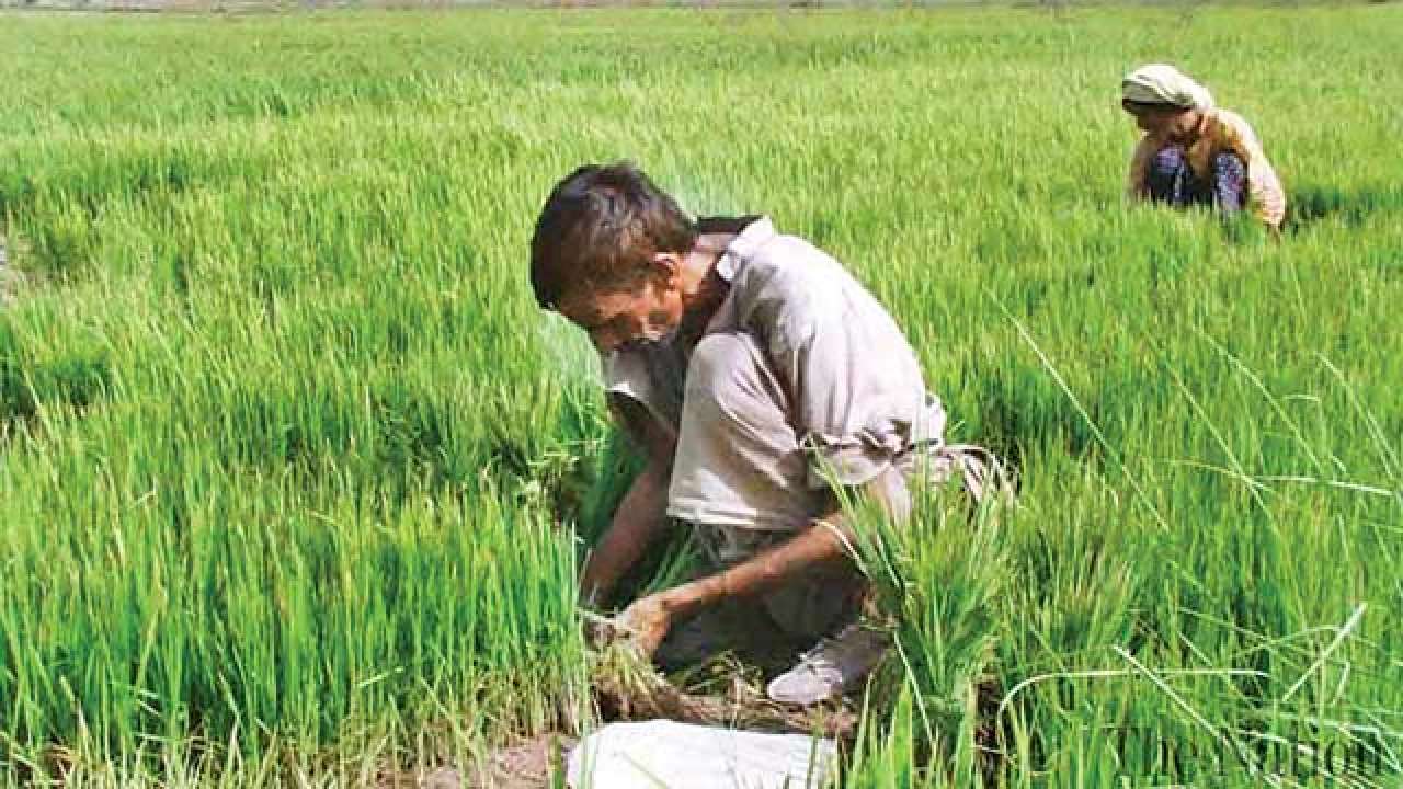 Budget 2018: Embracing elderly & farmers