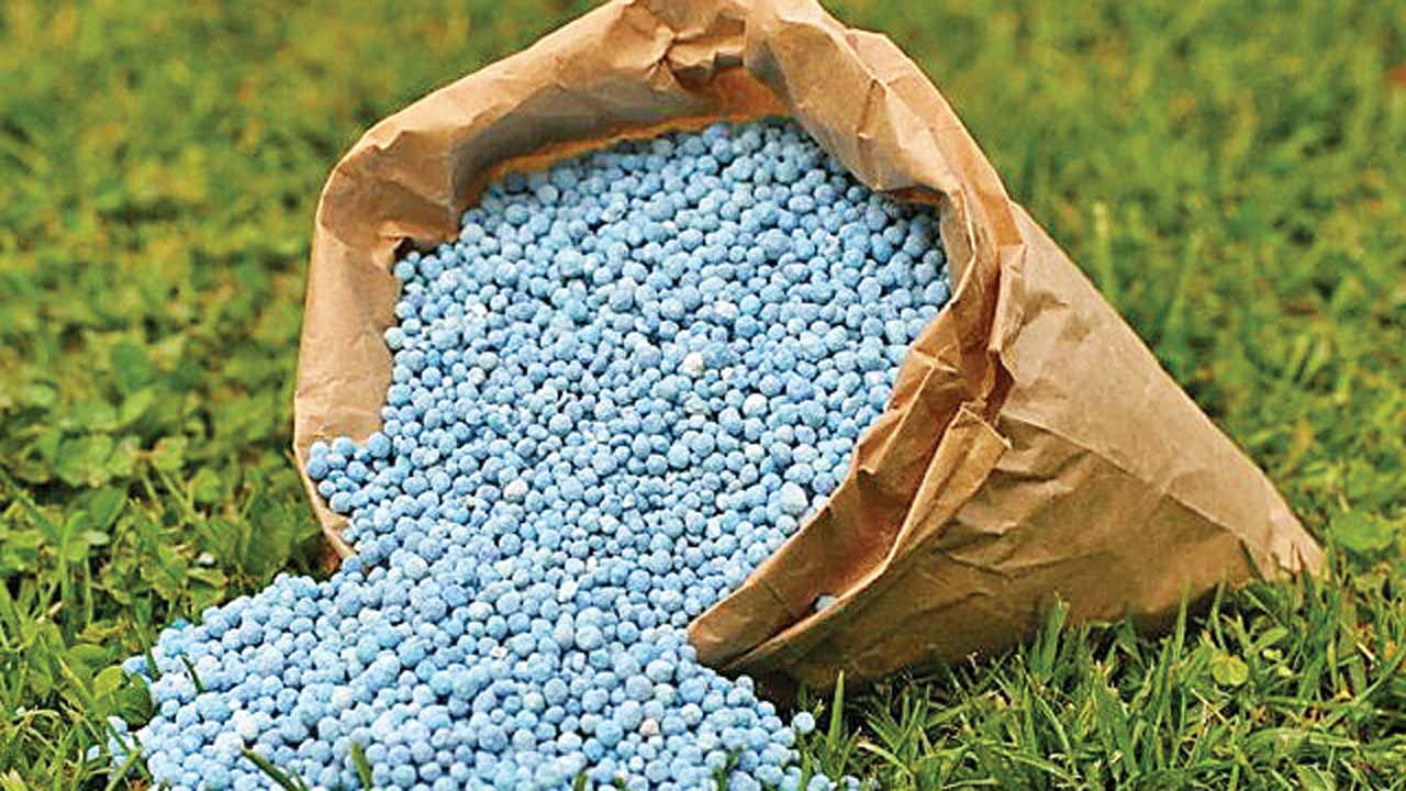 Mega PSU fertiliser project at Talcher suffers Rs 2,000 ... - 1280 x 720 jpeg 117kB