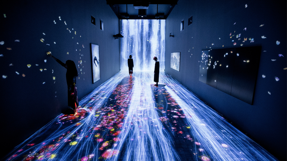 Tokyo-based teamLab, an interdisciplinary artists collective, put up eight installations at London's Pace Art Gallery where viewers could walk into waterfalls, in the process creating islands of flowers in full bloom