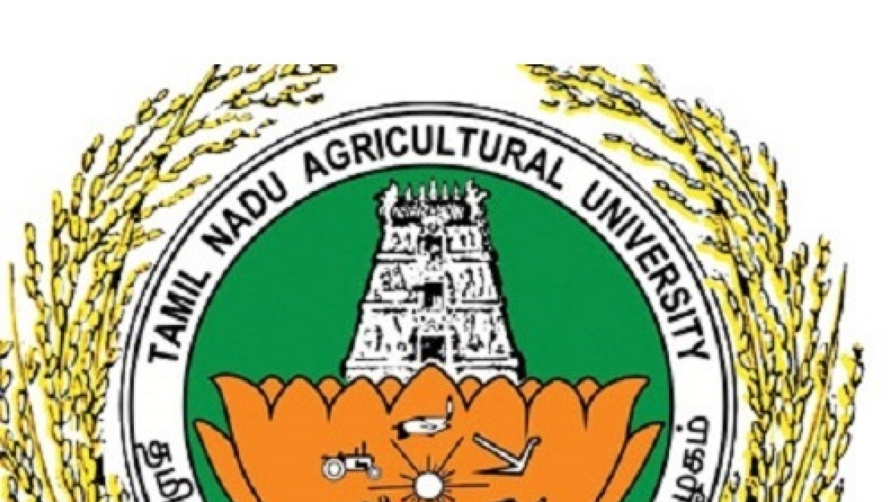Tamil Nadu Agricultural University Releases Rank List For Counselling Tamil Nadu Agricultural University Releases Rank List For Counselling