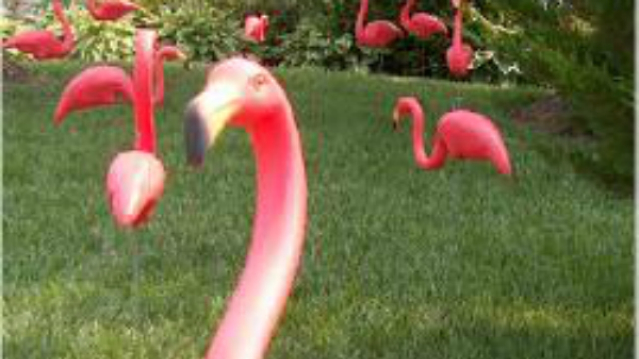 plastic flamingos bulk
