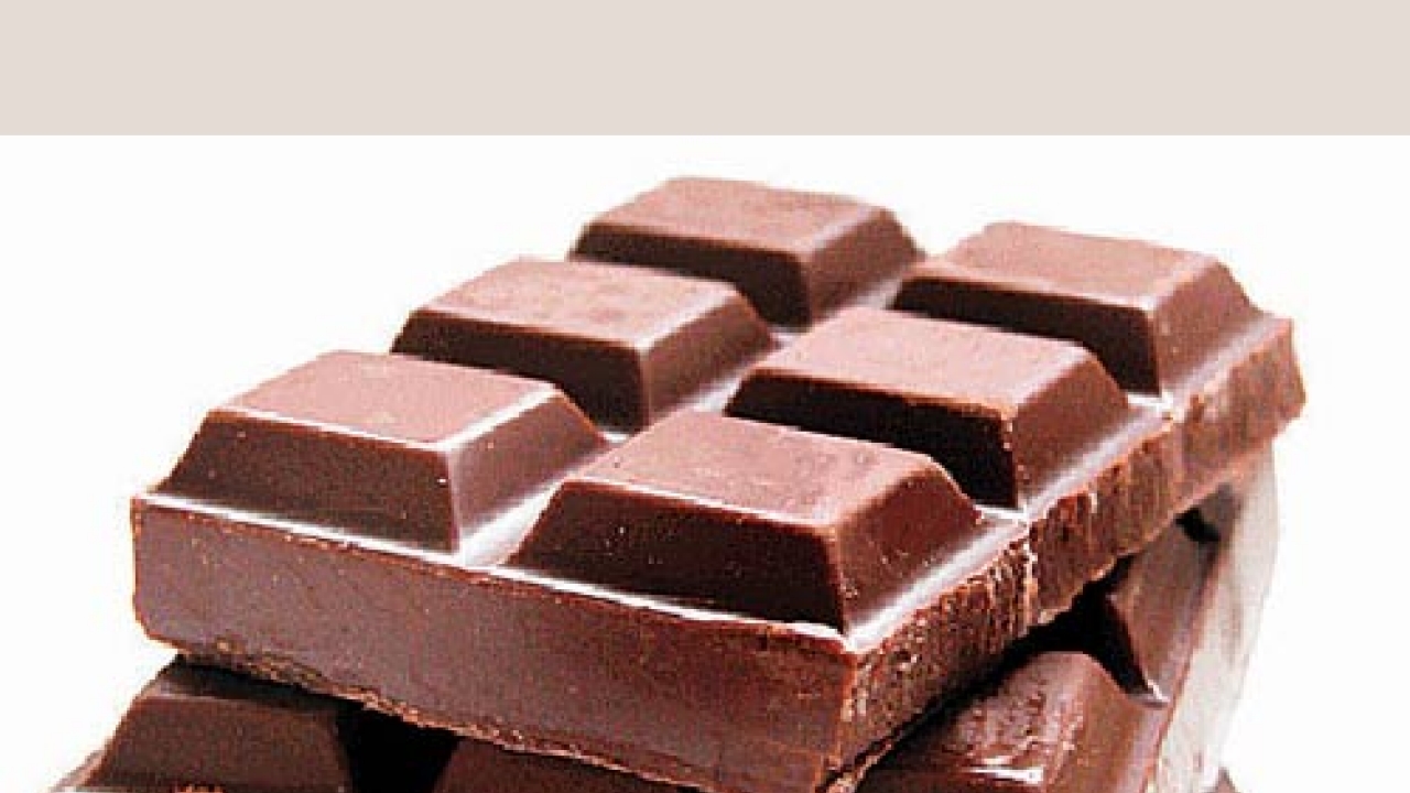 Origin of chocolate discovered 10 million years ago!
