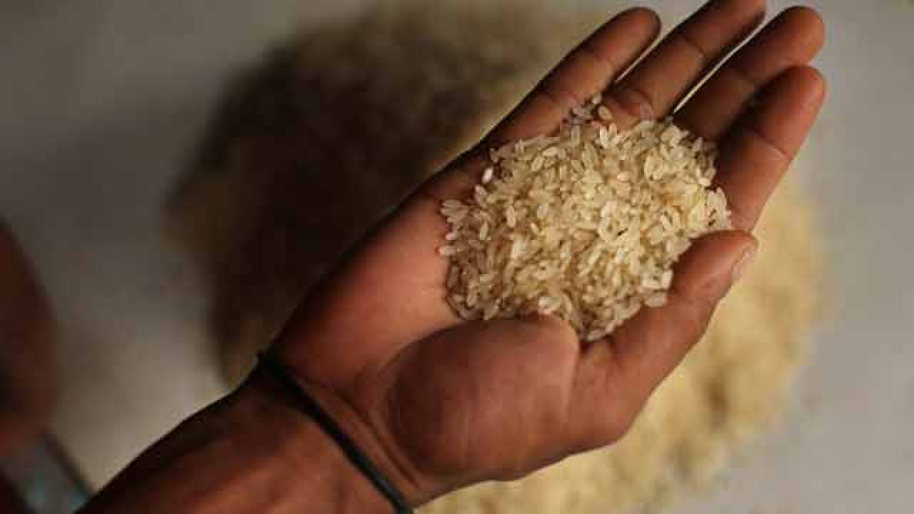 largest rice exporter in the world