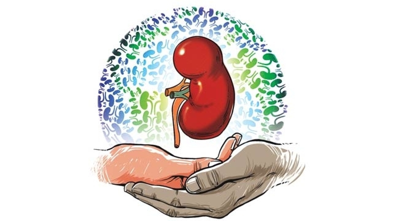 Chronic kidney disease+term paper