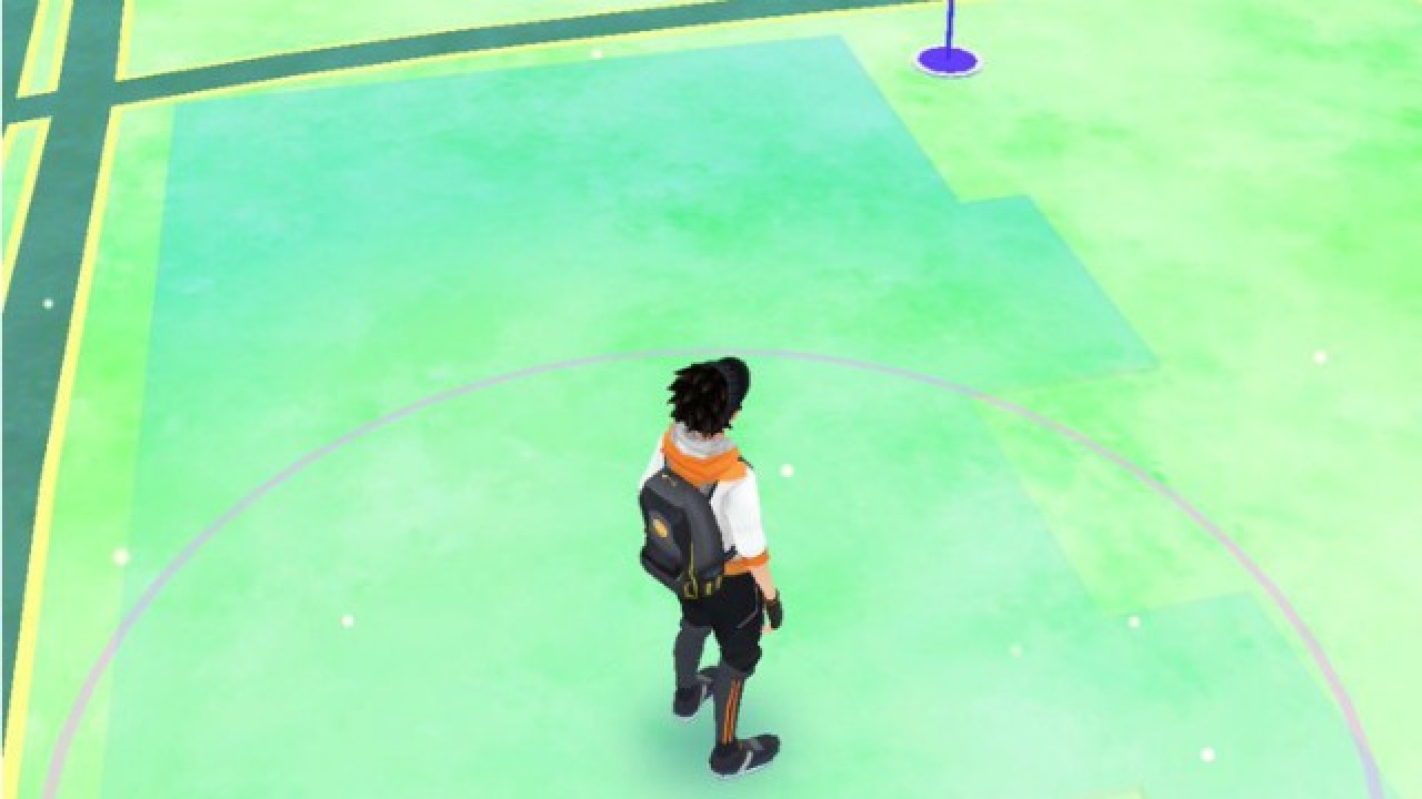 pokemon go indi