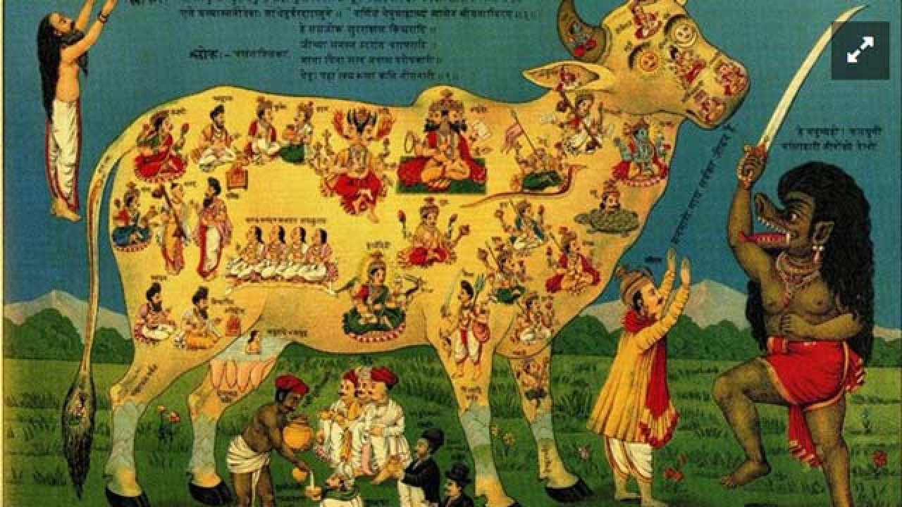 The conflicted democracy: Cows, minorities and the Indian ... The conflicted democracy: Cows, minorities and the Indian ... - 1280 x 720 jpeg 581kB