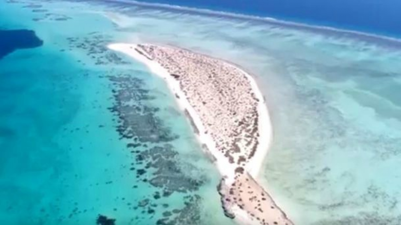 Now flaunt your bikinis in special tourist resorts in Saudi Arabia!