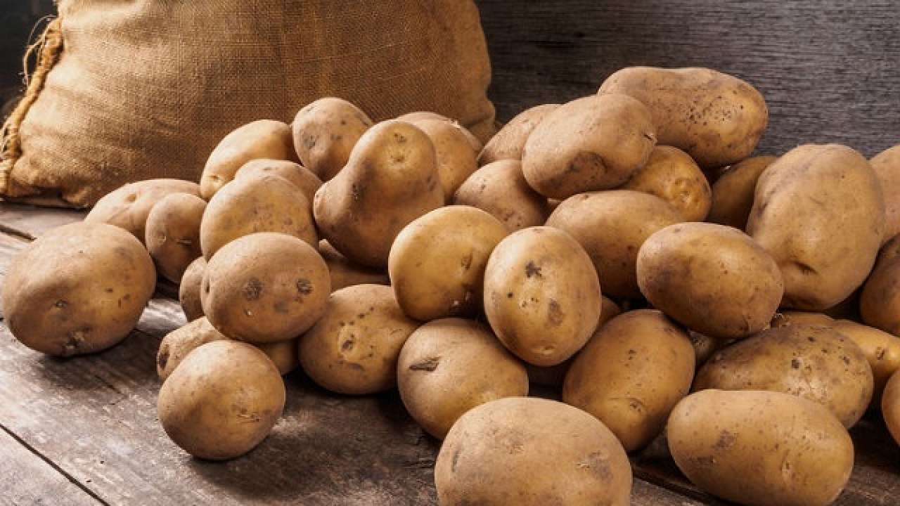 FMCG major ITC will now sell potatoes, steps into new segment with its