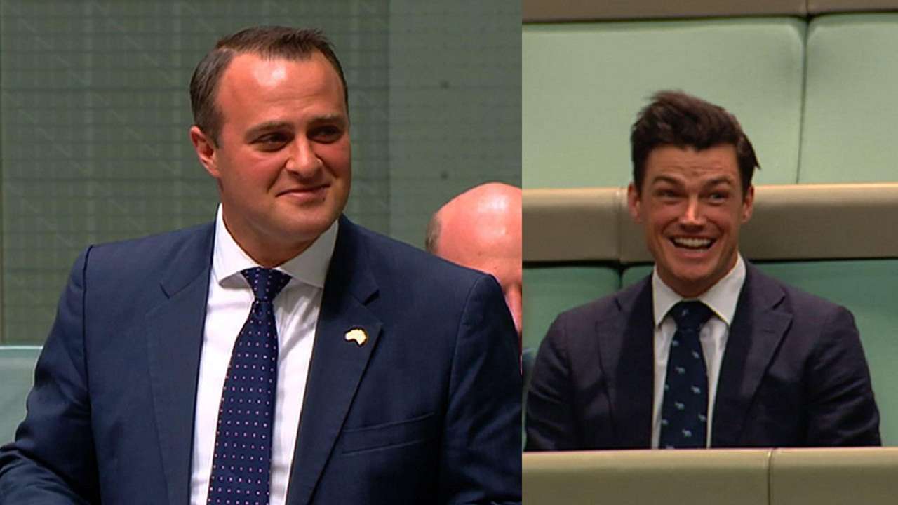 Australian Lawmaker Proposes To Same Sex Partner On Floor Of Parliament