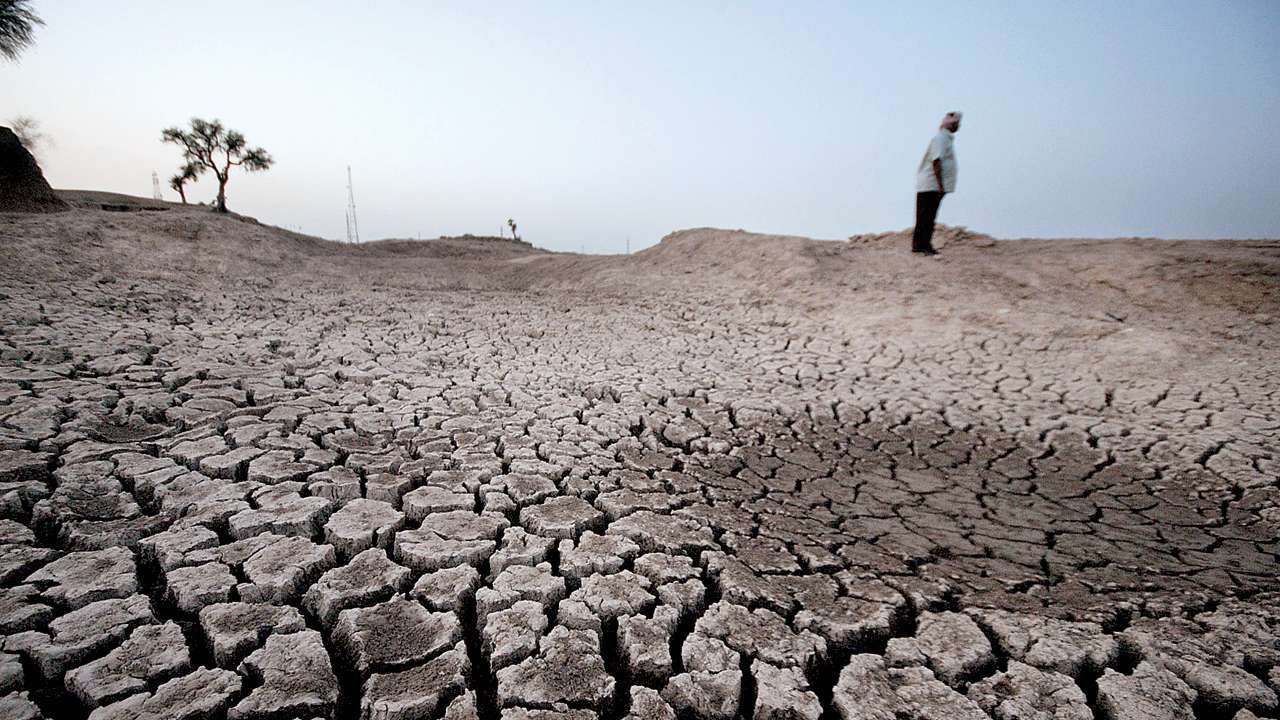 State Farm Report A Claim >> Karnataka: Over 3,500 farmers committed suicide in five years, says state report State Farm Report A Claim >> Karnataka: Over 3,500 farmers committed suicide in five years, says state report
