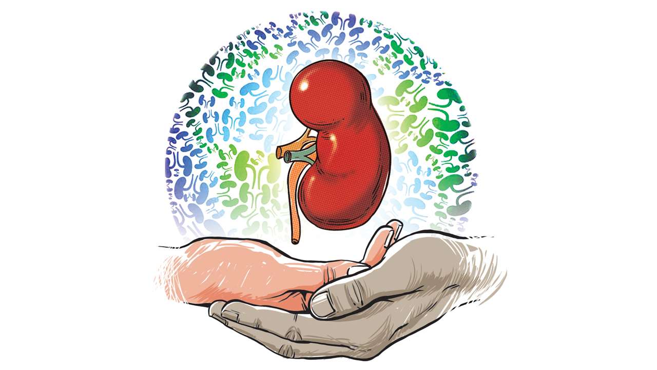 surat-tops-in-organ-donation-ahmedabad-second