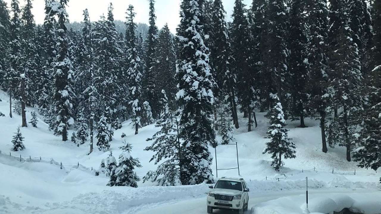 Avalanche hits ski resort Gulmarg, Swedish skier killed, another reported missing