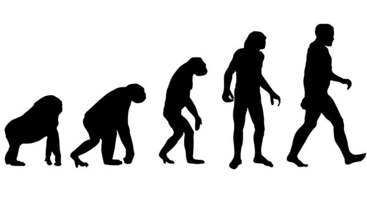 This Union minister thinks Darwin's theory of evolution is scientifically wrong This Union minister thinks Darwin's theory of evolution is scientifically wrong