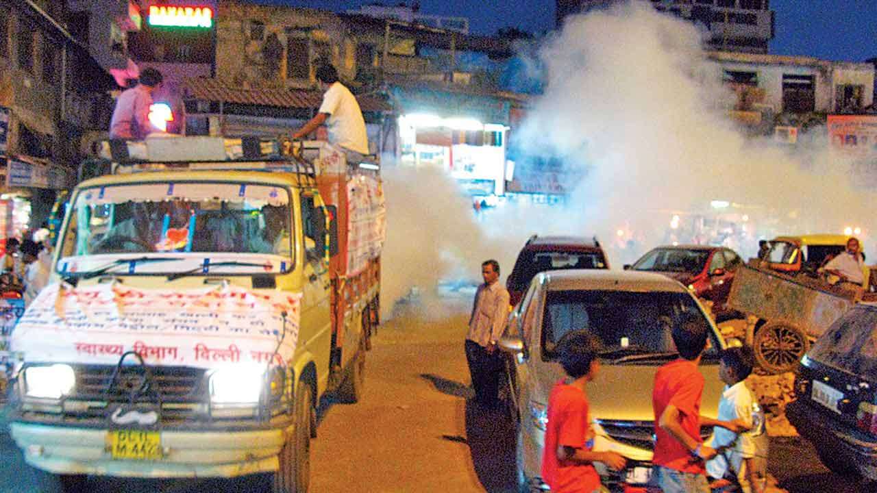 Dengue Dengue