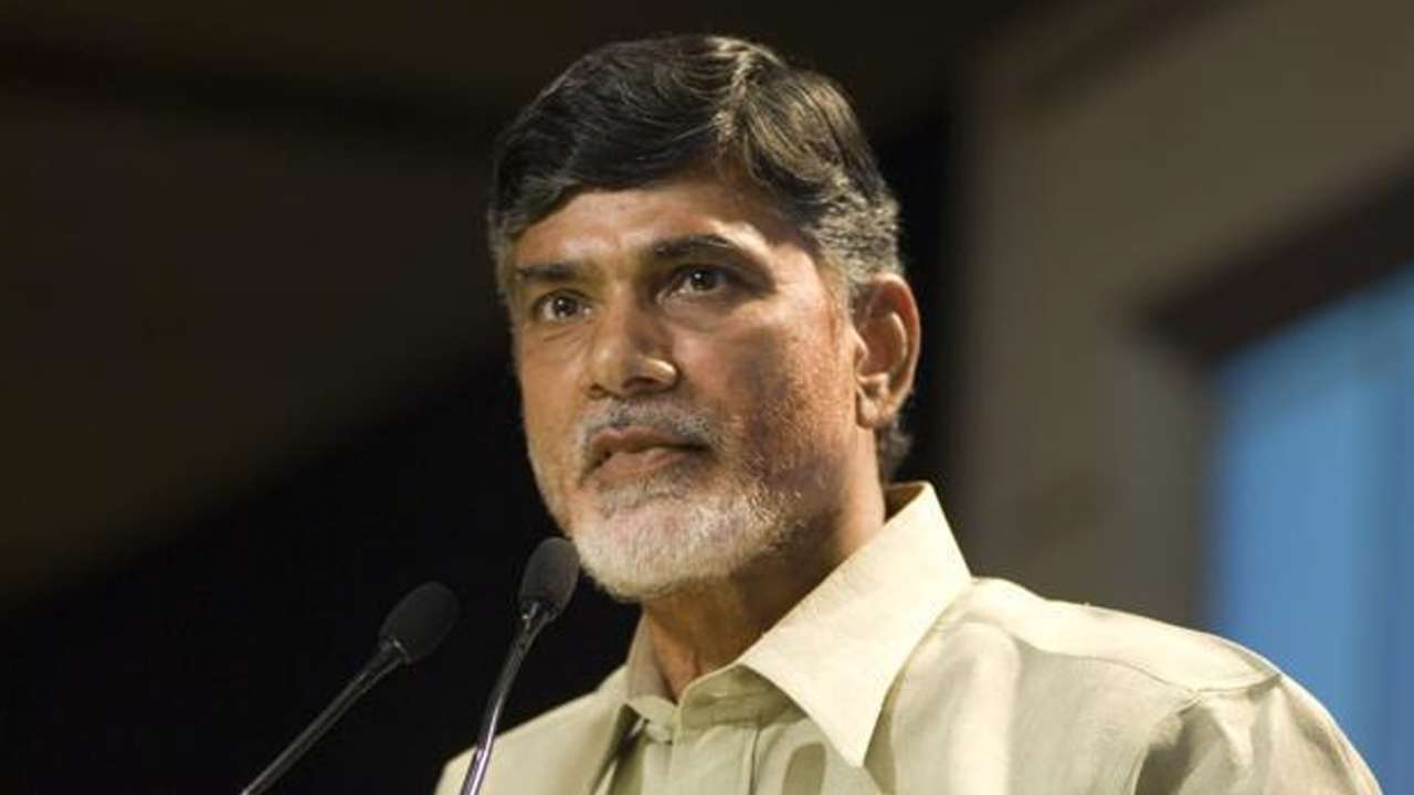 We Want Jr NTR, TDP Workers Demand Babu