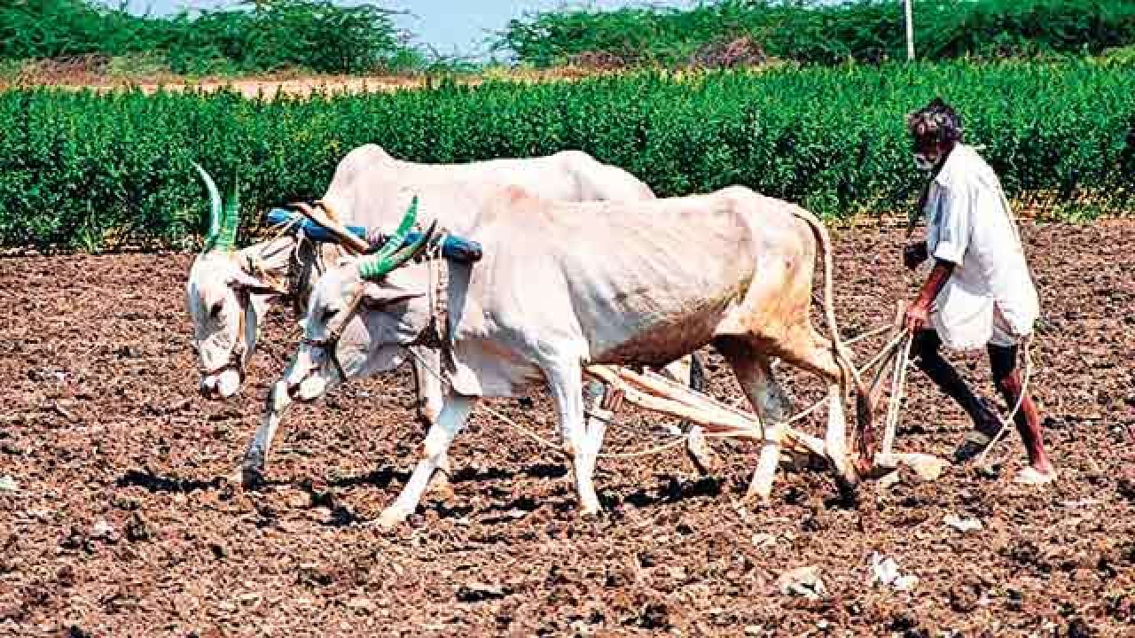 http://static.dnaindia.com/sites/default/files/styles/full/public/2018/03/08/658761-farmer.jpg
