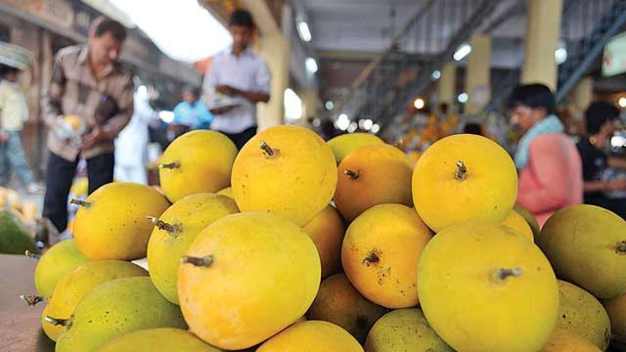 alphonso mango patel brothers