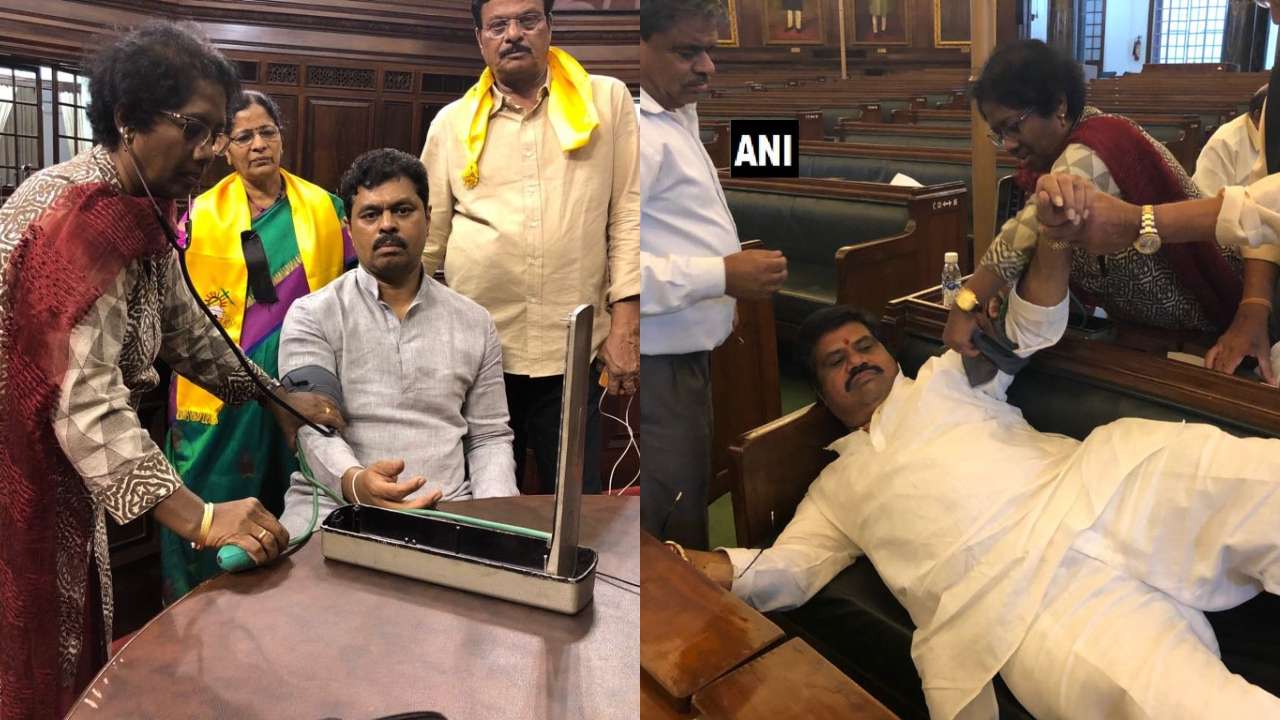 Protesting TDP MPs Dragged Away From Modi's Residence
