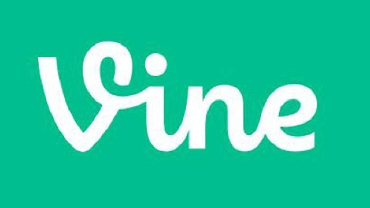 Vine
