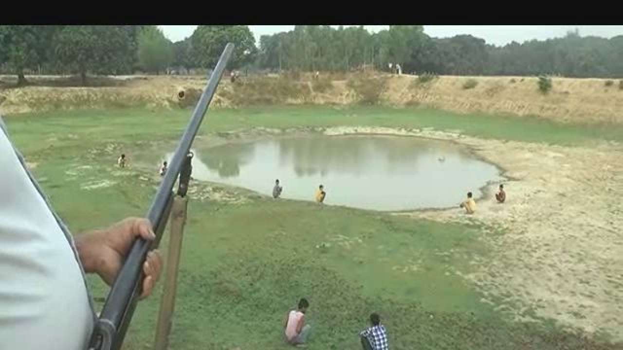 Sitapur dog attacks: Fearing canine carnage, residents keeping guns to protect themselves