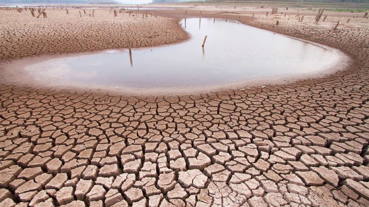 Political Fallout: BJP Faces Heat As Over Dozen Districts Battle Water ...