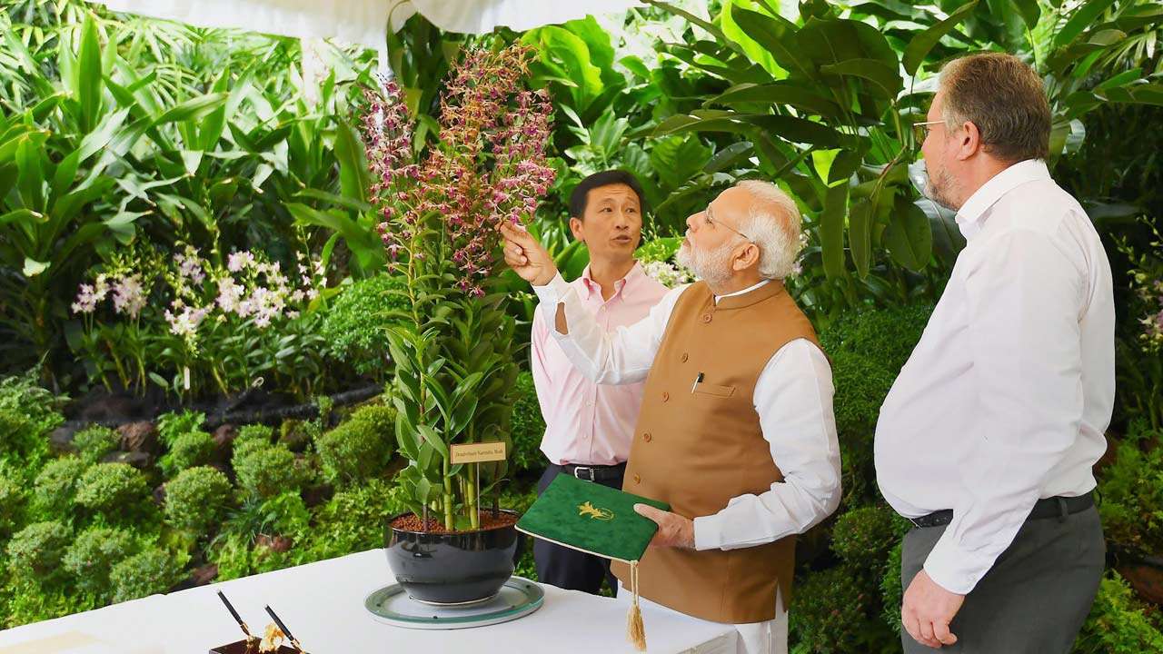 PM Narendra Modi