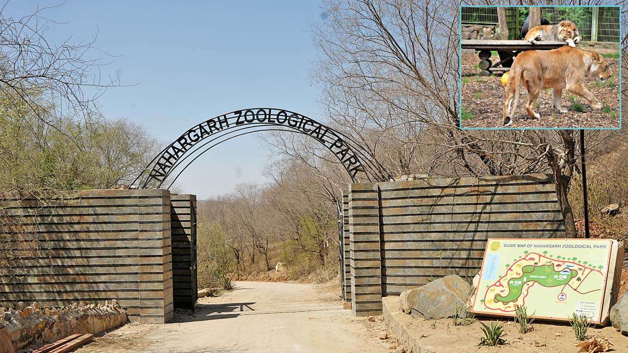 Nahargarh Biological Park