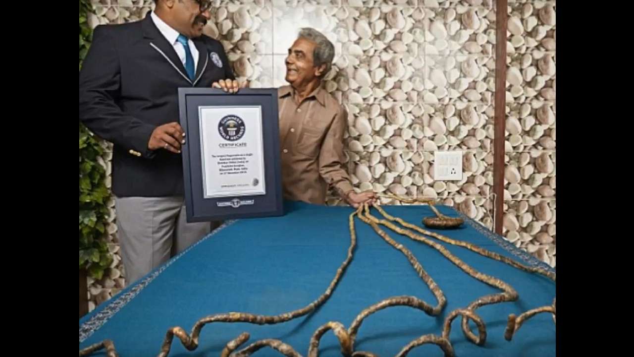 ÐÐ°ÑÑÐ¸Ð½ÐºÐ¸ Ð¿Ð¾ Ð·Ð°Ð¿ÑÐ¾ÑÑ Indian man with worldâs longest fingernails finally cuts them off