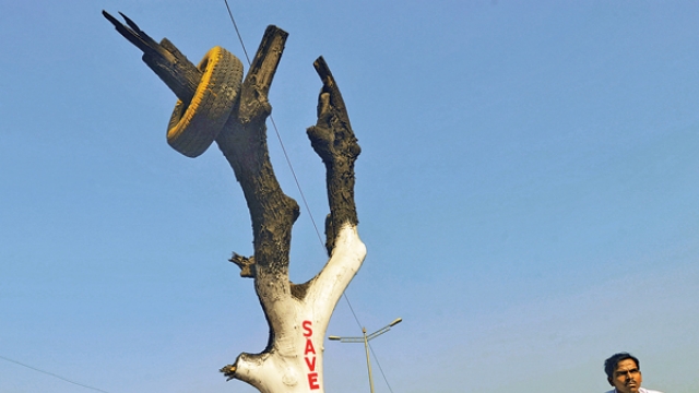 environment environment