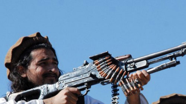 Asco masitin entry essay 03 image