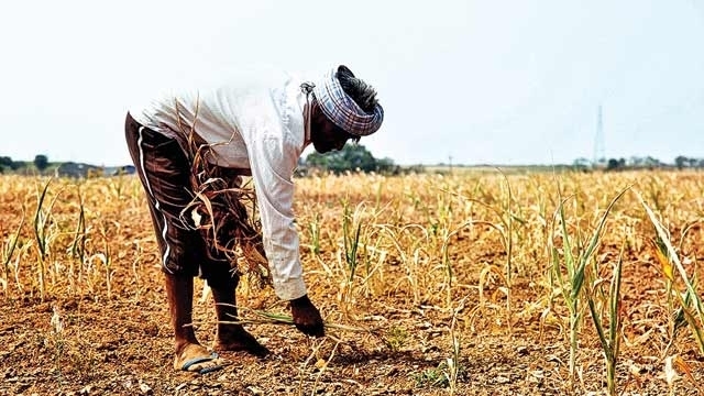 Tamil Nadu: Jaya's crop loan waiver small relief for ...