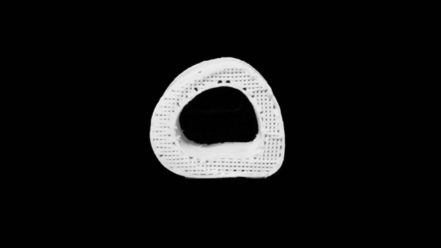 Israel archeologists find taboo toilet at Jewish shrine | Latest News ...