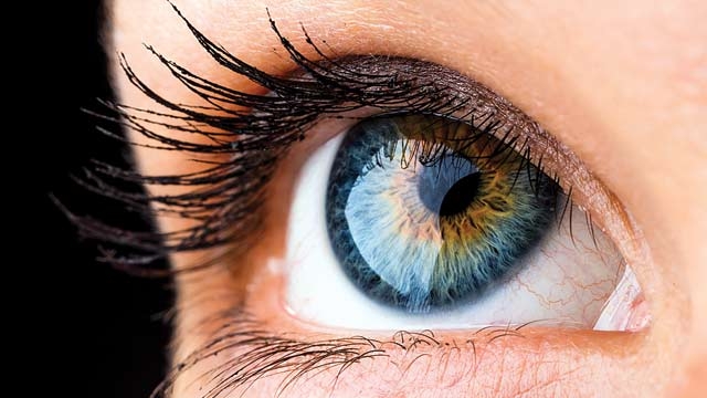 In search of plain sight Latest News Updates at Daily News Analysis In search of plain sight Latest News Updates at Daily News Analysis