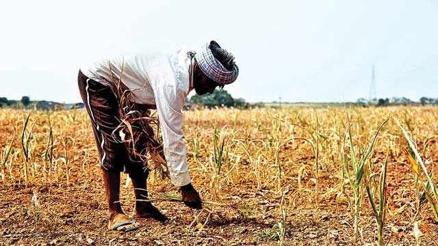 National policy needed to compensate farmers for crop failure and debt, says Supreme Court