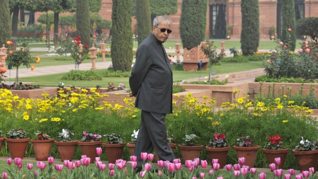 an analysis and biography of the rashtrapati bhavan the president of india The rashtrapati bhavan is the official residence of the president of india located in new delhi and is one of the most iconic monuments in india. an analysis and biography of the rashtrapati bhavan the president of india The rashtrapati bhavan is the official residence of the president of india located in new delhi and is one of the most iconic monuments in india.