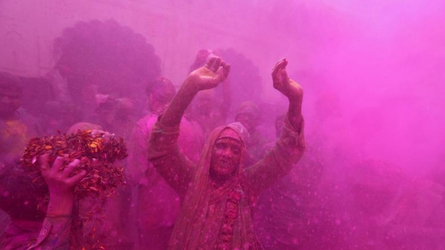 Festival of Colours