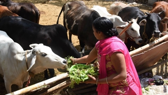 Centre examining issues raised by states post ban on sale of