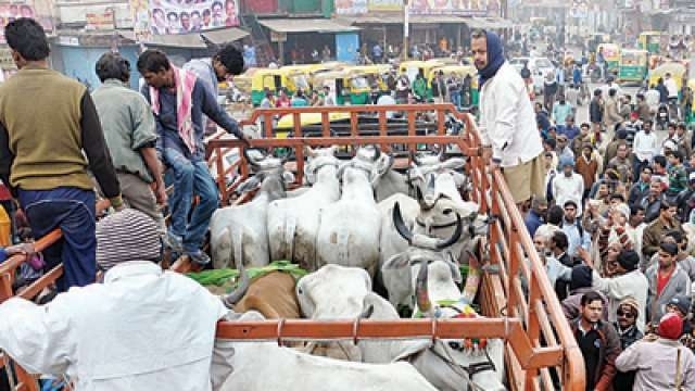 Youths attacked on suspicion of possessing beef