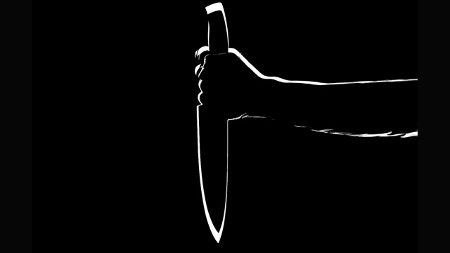 Woman stabbed 8 times as crowd watched, dies Woman stabbed 8 times as crowd watched, dies