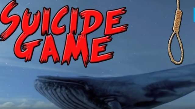 MP government shrugs off Blue Whale risk