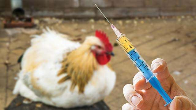 Health Ministry notifies amendment