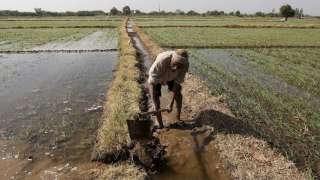 Budget 2018: Government may announce National Agriculture Export Policy