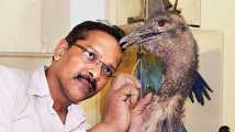 <b>Sandeep Gaikwad</b> - 313106-taxidermist