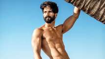 Shahid Kapoor’s royal avatar
