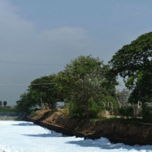 bangalore-lake-afp-froth