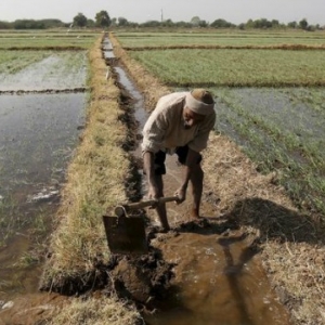 Representational Image Representational Image