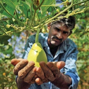 plant yadav power r protests Rayalaseema, Anti continue Andhra in Telangana