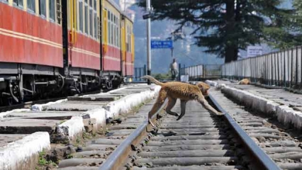 Representational Image